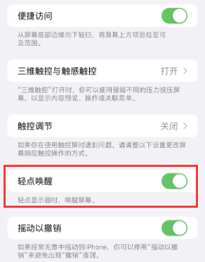 涧西苹果授权维修站分享iPhone轻点无法唤醒怎么办 