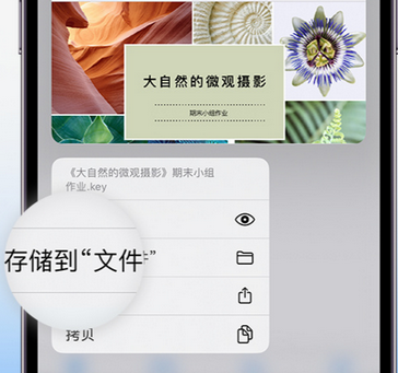 涧西apple维修中心分享iPhone文件应用中存储和找到下载文件