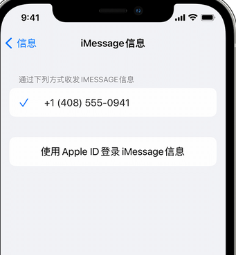 涧西apple维修iPhone上无法正常发送iMessage信息 