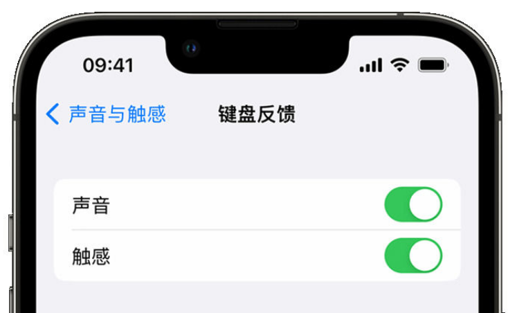 涧西苹果手机维修分享iPhone 14触感键盘使用方法 