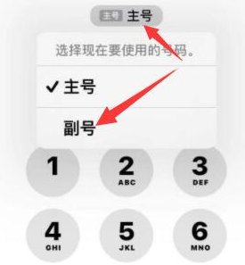 涧西苹果14维修店分享iPhone 14 Pro Max使用副卡打电话的方法 