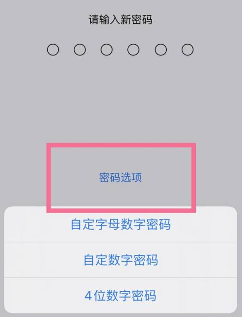 涧西苹果14维修分享iPhone 14plus设置密码的方法 