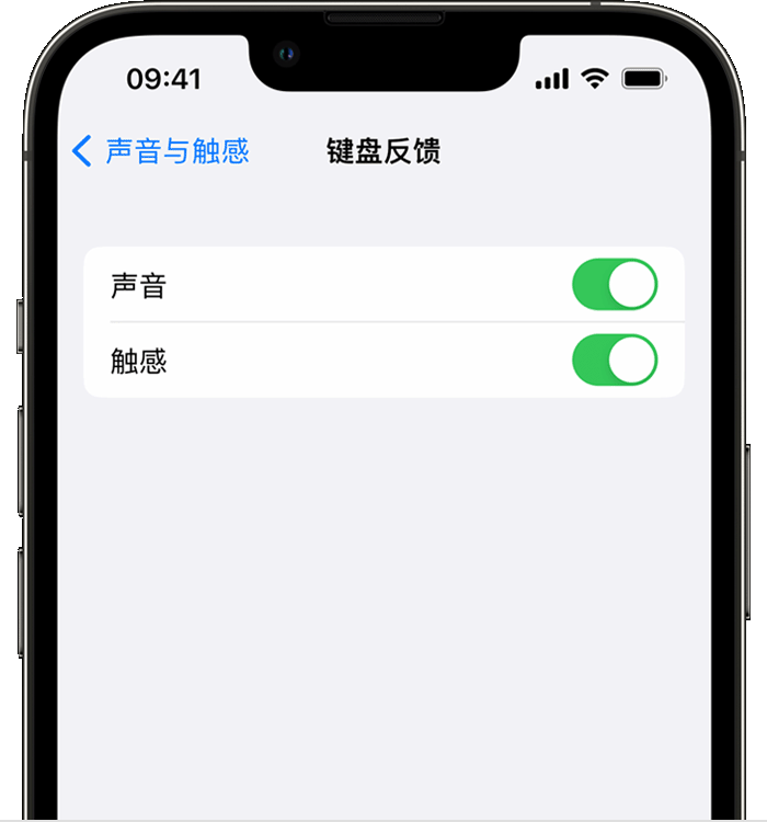 涧西苹果14维修分享iPhone 14 系列机型如何开启键盘声音或触感反馈 