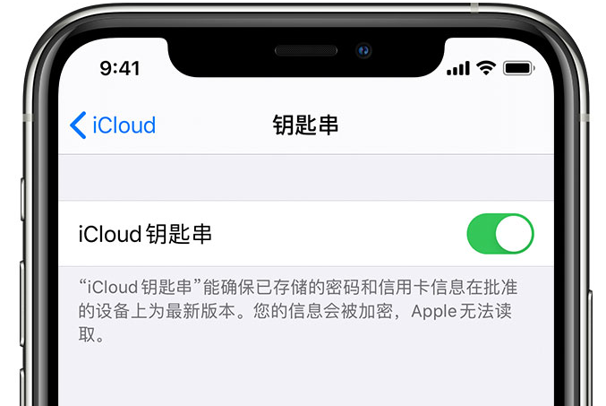 涧西苹果手机维修分享在 iPhone 上开启 iCloud 钥匙串之后会储存哪些信息 