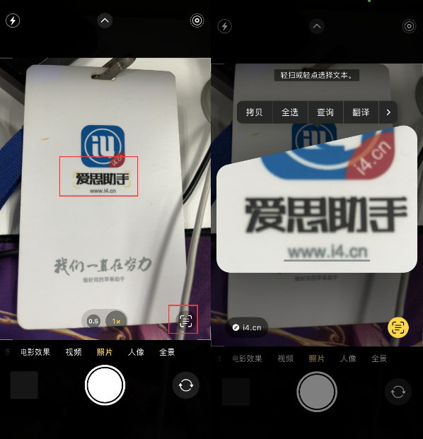涧西苹果手机维修分享升级iOS 16后如何通过相机翻译文本 