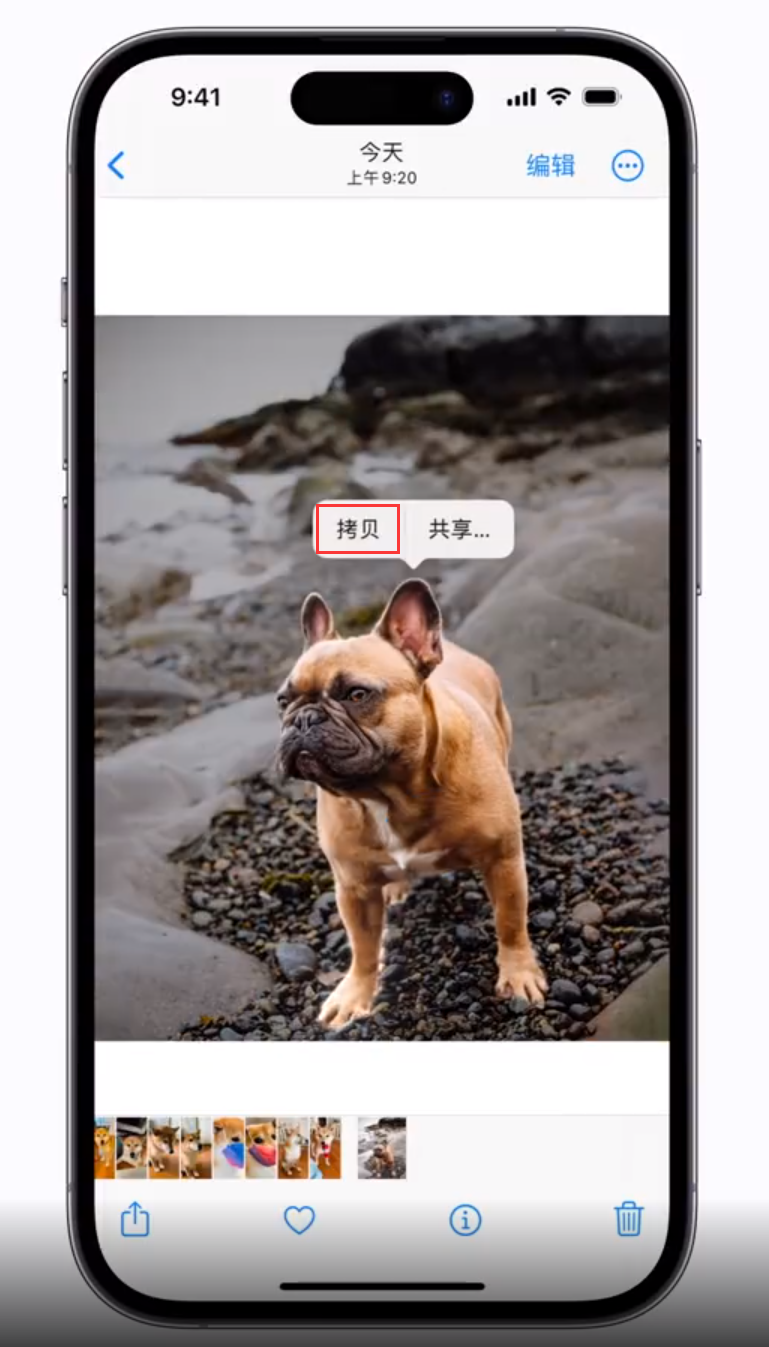 涧西苹果手机维修分享 iOS 16 自带一键抠图功能 