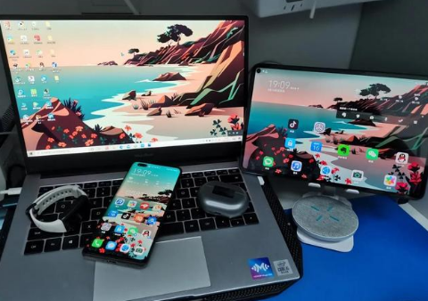 涧西苹果手机维修分享为什么iPad屏幕更大价格却比iPhone低 