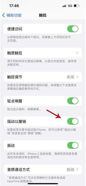 涧西苹果手机维修分享iPhone手机如何设置摇一摇删除文字 