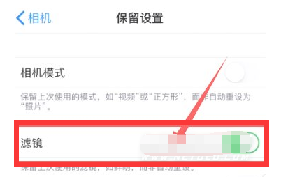 涧西苹果13维修分享iPhone13拍照有绿点是怎么回事 