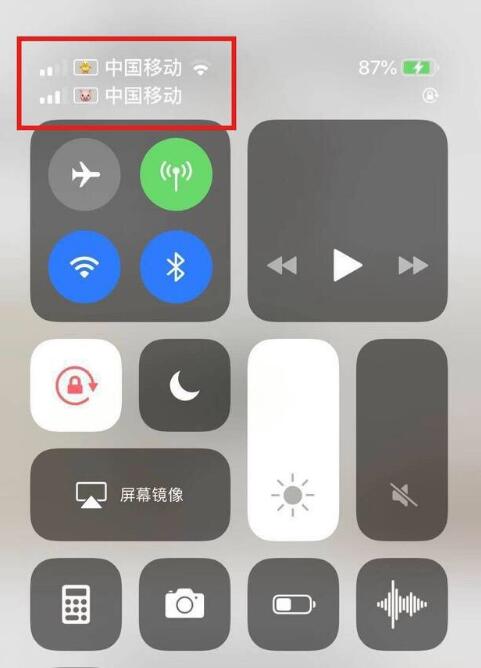 涧西苹果手机维修分享为 iPhone 12 双卡设置标签 